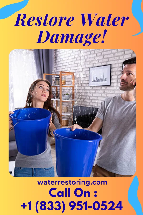 water restoration Best Flood Recovery Pros Ravinia